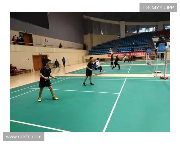 上海羽毛球队个人能力深度解析与发展现状探讨