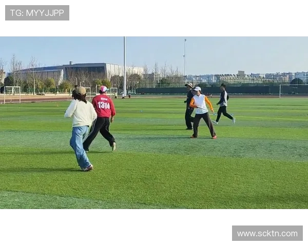 飞盘战术解析：杭州飞盘队如何构建高效阵地战体系